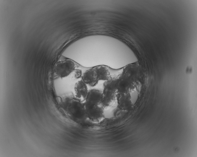 X0000113140549200909041000