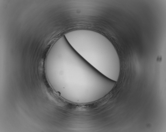 X0000113140550200909041000