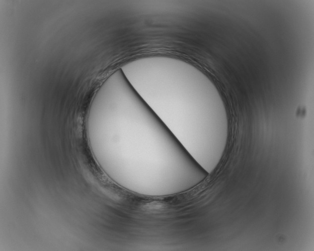 X0000113140551200909041000