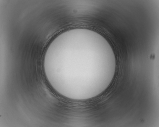 X0000113140552200909041000