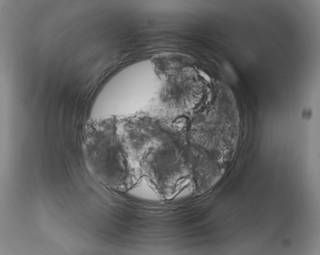 X0000113140553200909041000