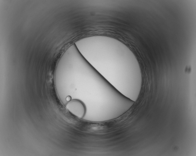 X0000113140555200909041000