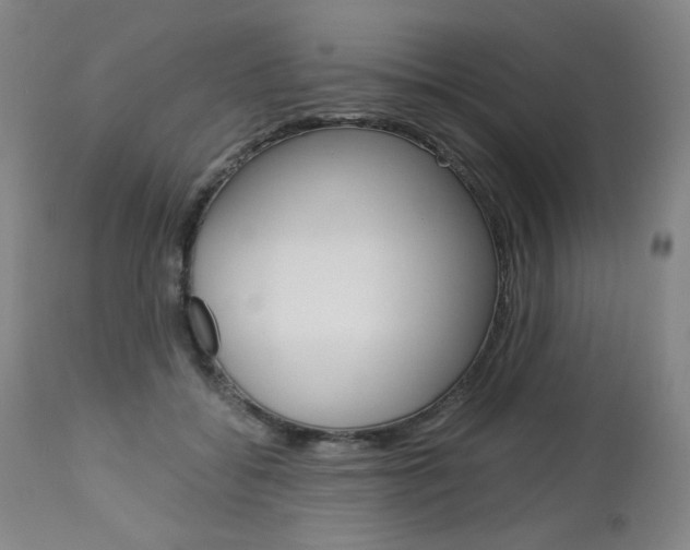 X0000113140556200909041000