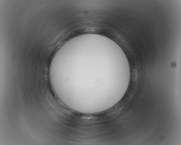 X0000113140557200909041000