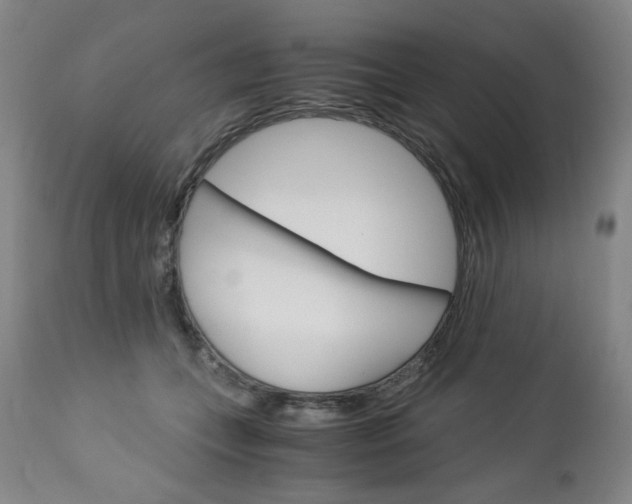 X0000113140559200909041000