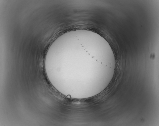 X0000113140561200909041000
