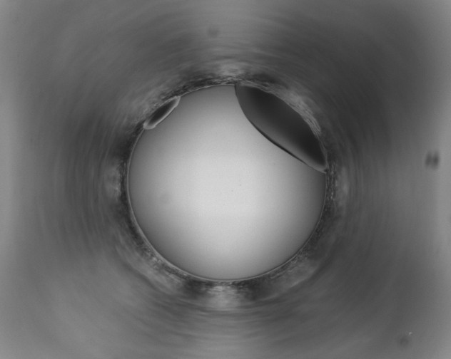 X0000113140562200909041000