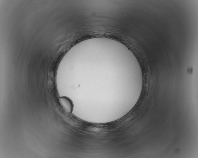 X0000113140563200909041000