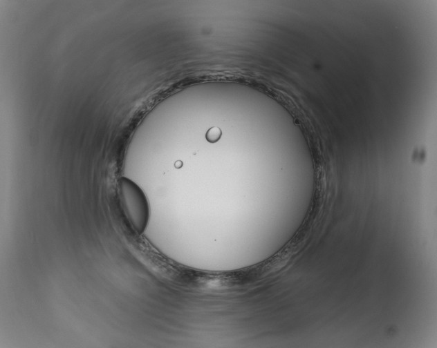 X0000113140564200909041000