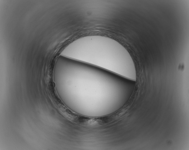 X0000113140566200909041000