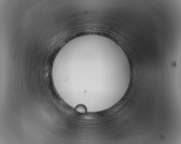 X0000113140567200909041000