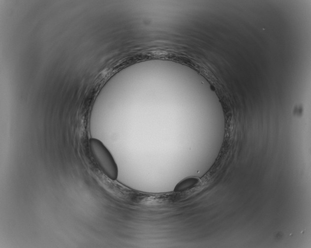 X0000113140568200909041000