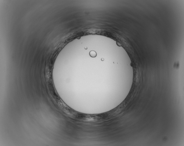 X0000113140569200909041000