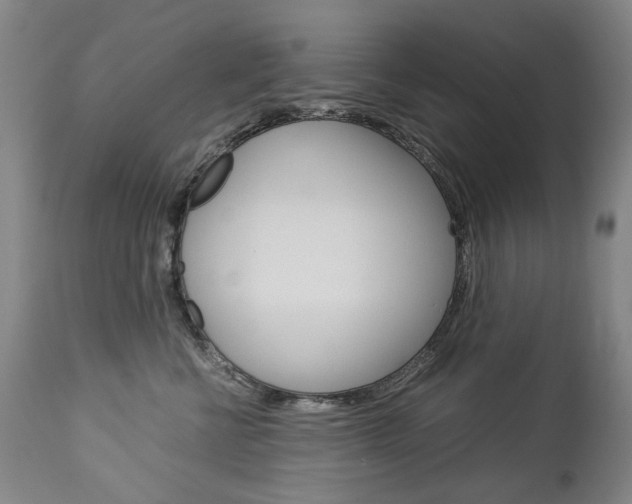 X0000113140570200909041000