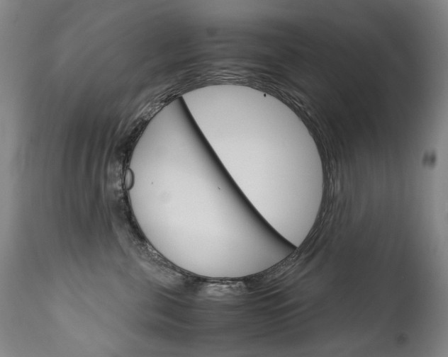 X0000113140571200909041000