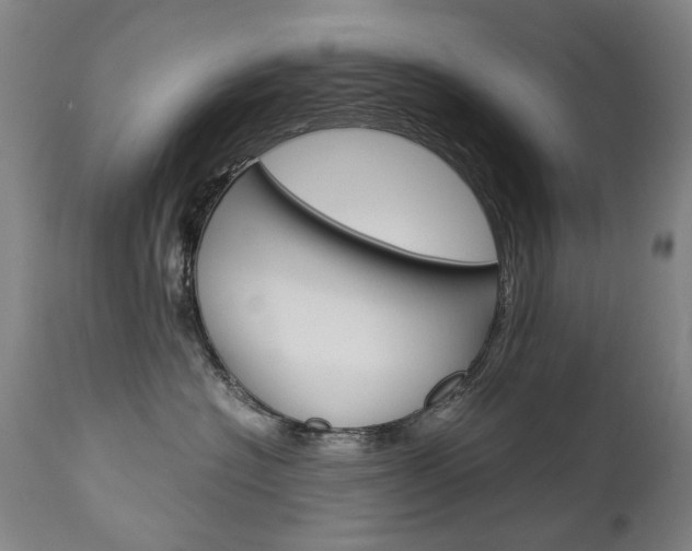 X0000113140574200909041000