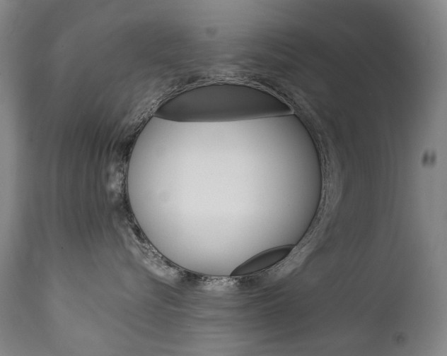 X0000113140576200909041000
