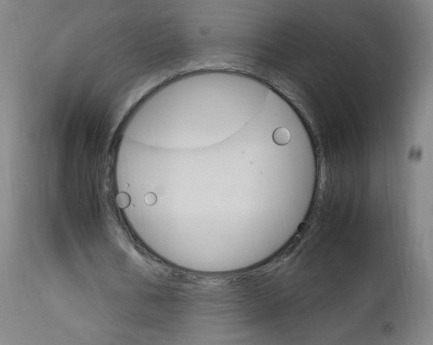 X0000113140578200909040959