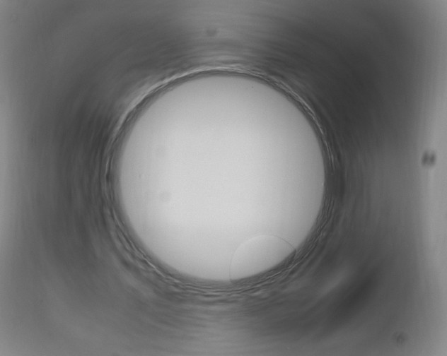 X0000113140579200909040959