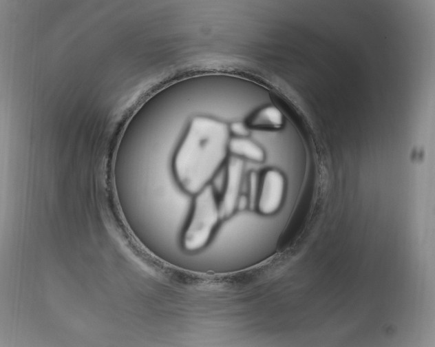 X0000113140581200909040959