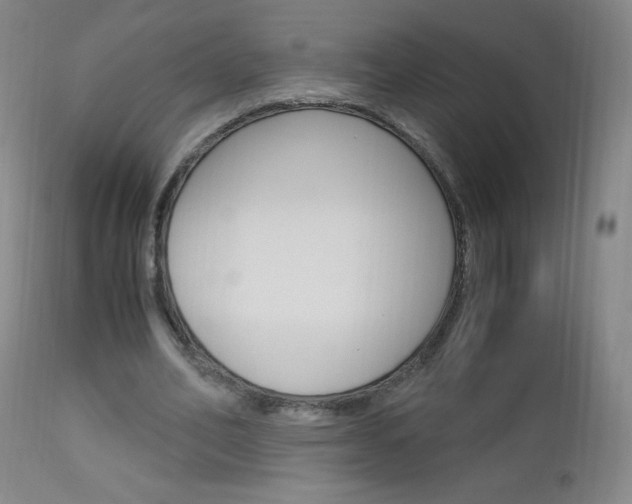 X0000113140582200909040959
