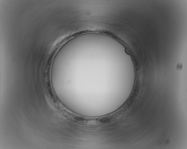 X0000113140587200909040959