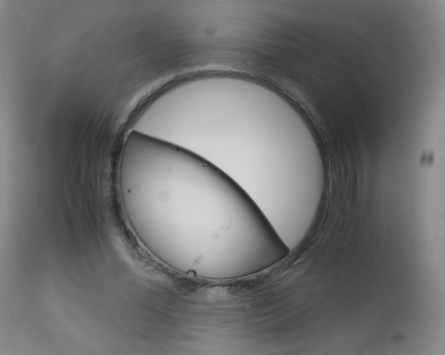 X0000113140588200909040959
