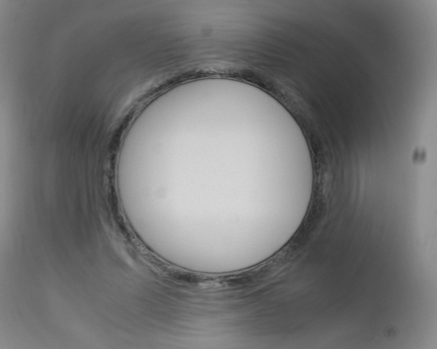 X0000113140591200909040959