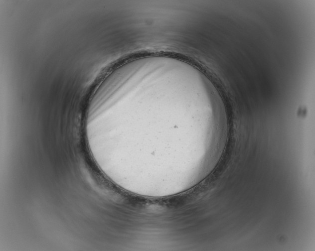 X0000113140592200909040959
