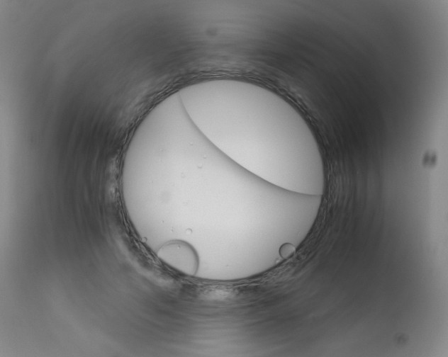 X0000113140594200909040959