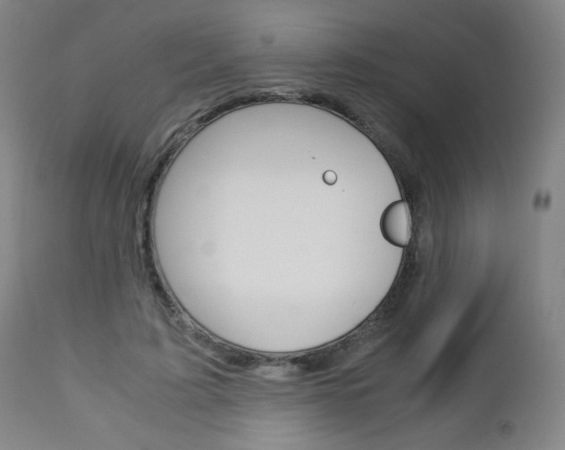 X0000113140595200909040959
