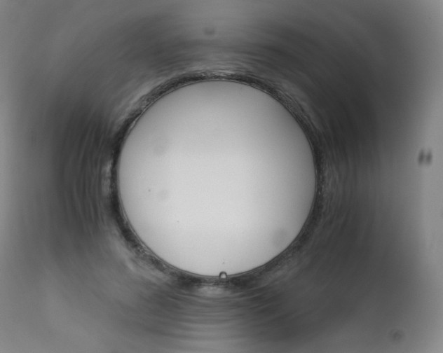 X0000113140596200909040959