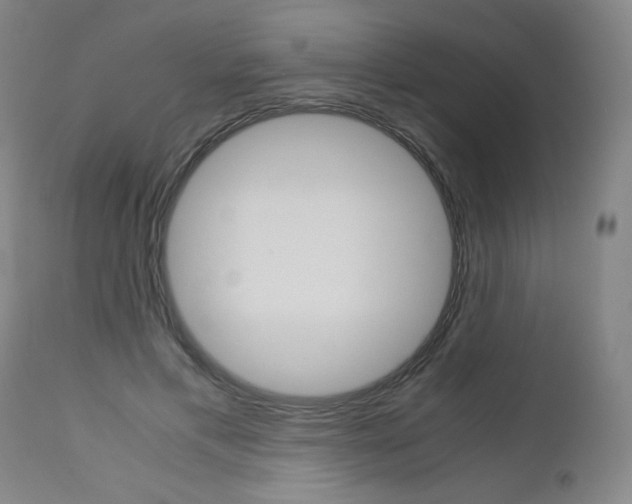 X0000113140597200909040959