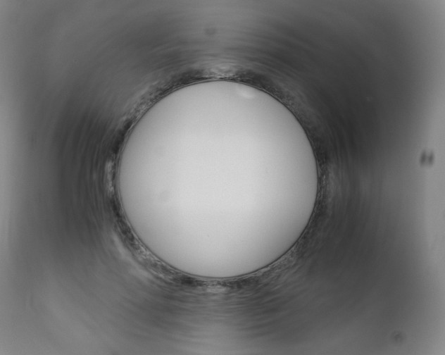 X0000113140598200909040959