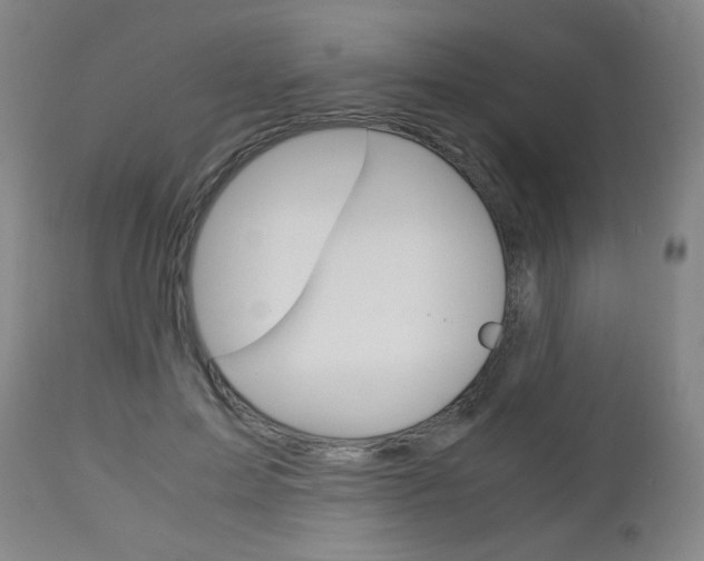 X0000113140599200909040959