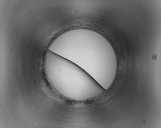 X0000113140600200909040959