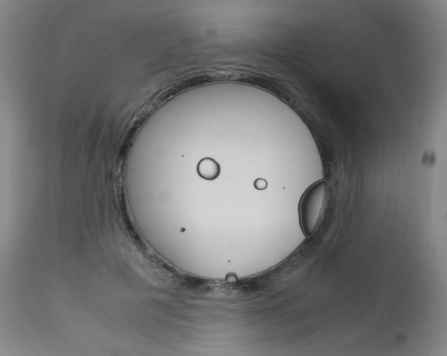X0000113140601200909040959