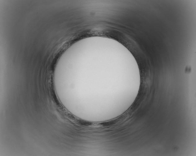 X0000113140603200909040959