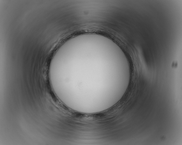 X0000113140604200909040959