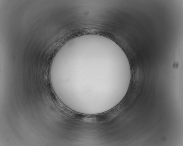 X0000113140606200909040959