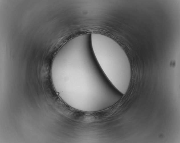 X0000113140608200909040959
