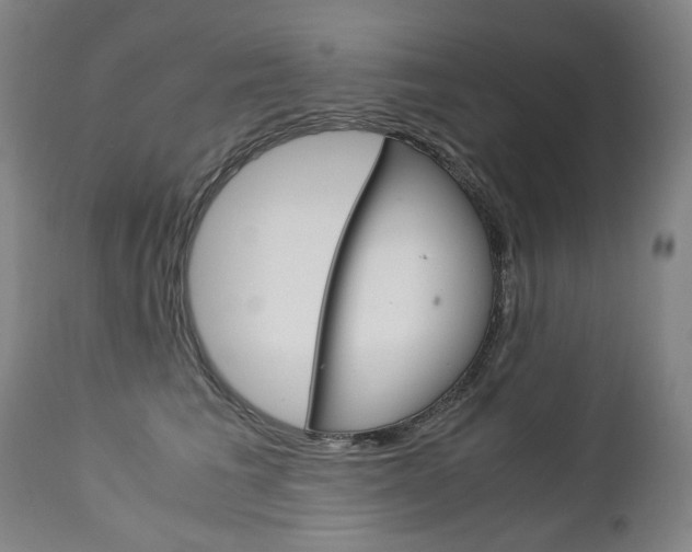 X0000113140613200909040959