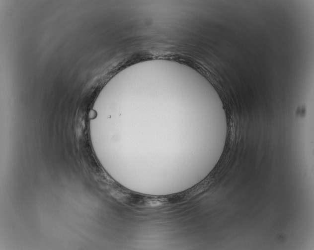 X0000113140618200909040959