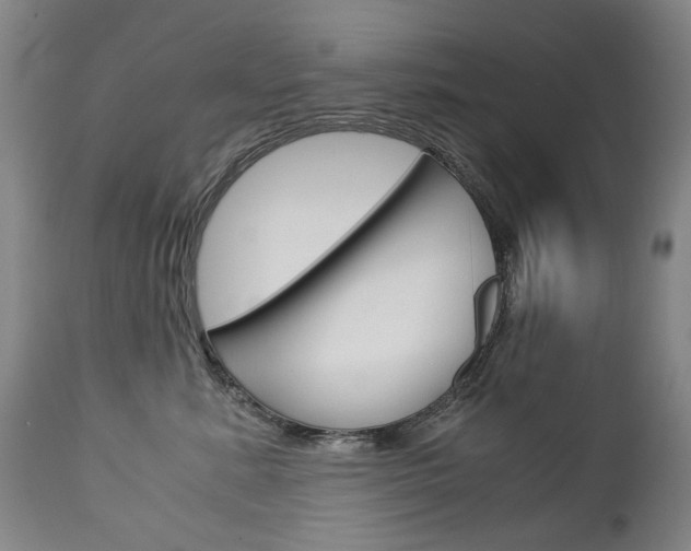 X0000113140619200909040959