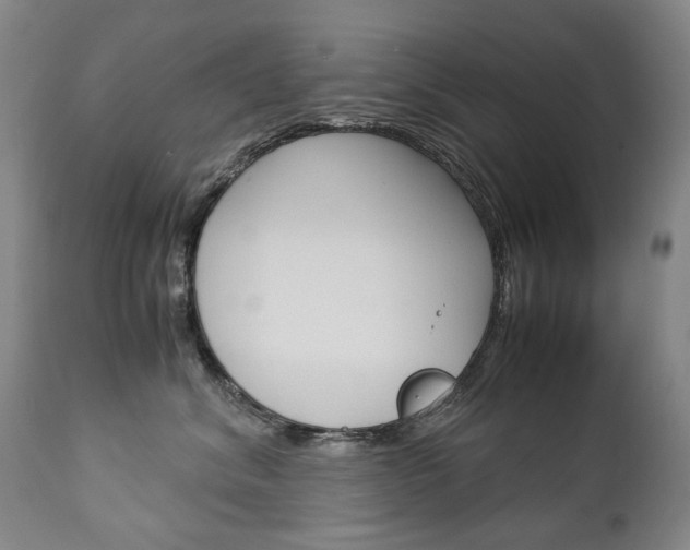 X0000113140620200909040959
