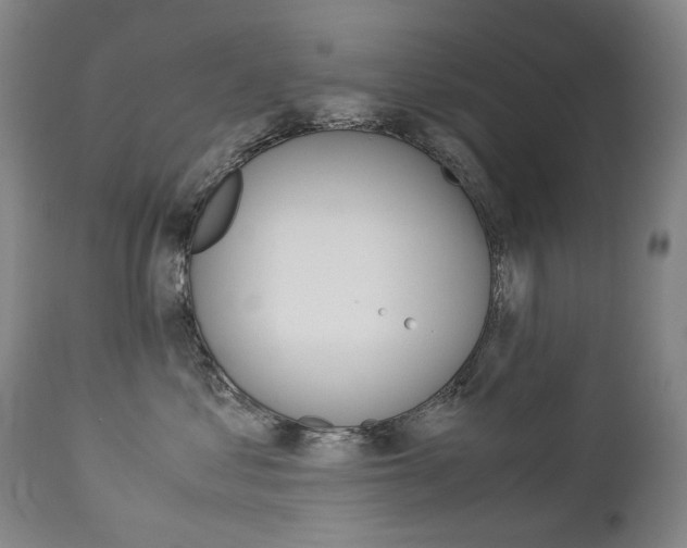 X0000113140621200909040959