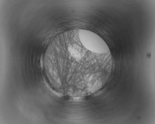 X0000113140622200909040959