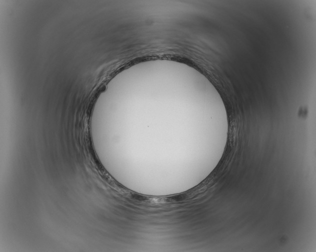 X0000113140623200909040959
