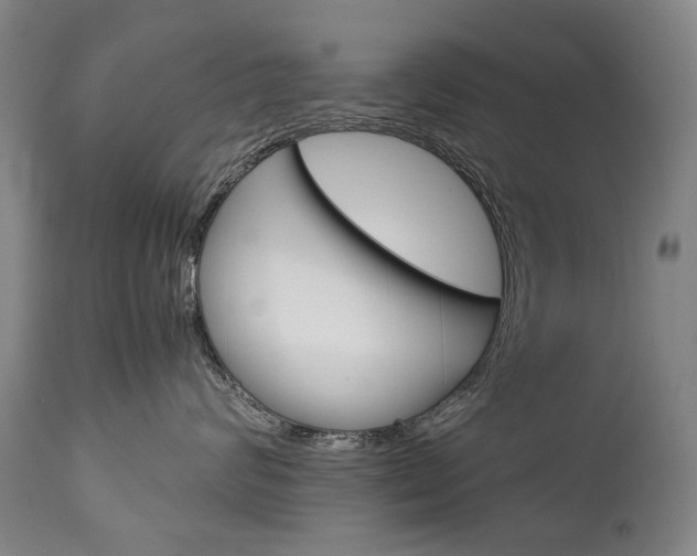 X0000113140624200909040959