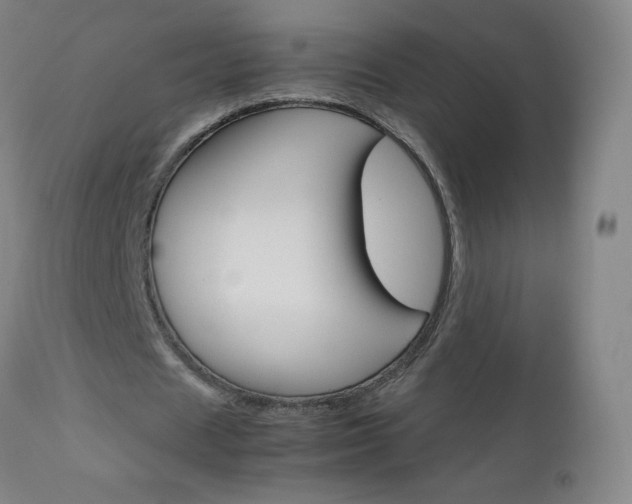 X0000113140625200909040958